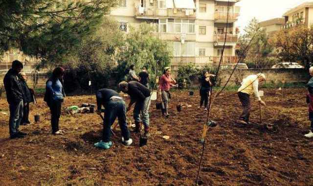 Bari, una piccola campagna tra i palazzi cittadini: � l'orto Effetto terra